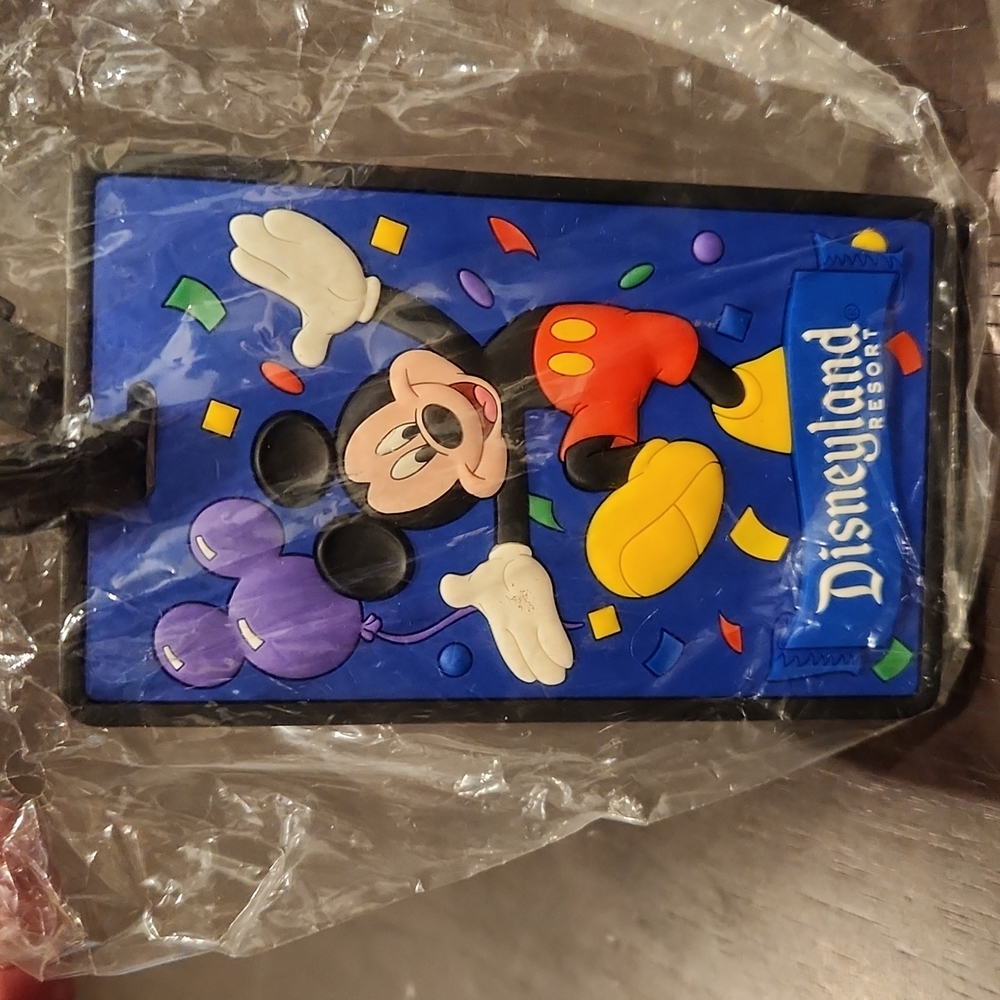 DISNEYLAND resort luggage tag, New